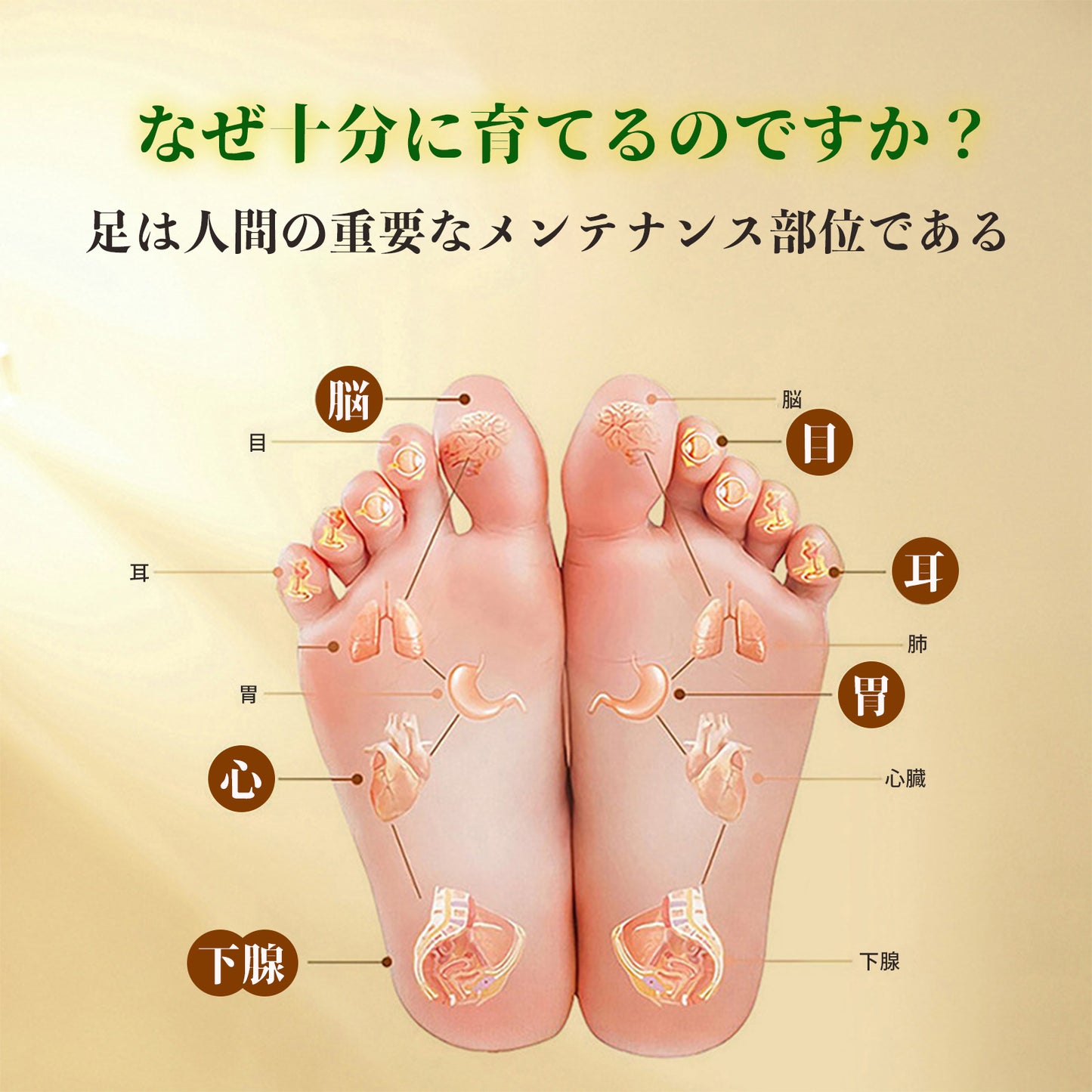 足裏シート 火を使わない せんねん灸 30枚(15回分) フットケア 足ツボ 足リラックスシート毎日健康 作業用 男女兼用